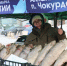 В Якутске открылась ярмарка «Рыба Якутии» - Якутское-Cаха ИА