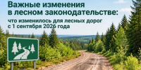 Важные изменения в лесном законодательстве: что изменилось для лесных дорог с 1 сентября 2026 года - Министерство природных ресурсов и экологии