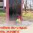 В Артёме почтили память жертв политических репрессий. - Администрация Артёмовского городского округа