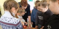 Новокузнецкие школьники проводят мурлыкающие каникулы - Управление культуры