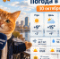 В Ростове 30 октября потеплеет до +15 градусов - Bloknot-Rostov.Ru
