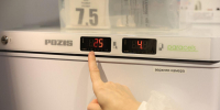 Врач Симаков назвал продукты, которые россияне хранят неправильно - Петербургский дневник
