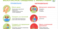 Топ-5 правил гигиены при общении с домашними животными - Варнавинский муниципальный округ
