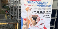 Выездная регистрация домашних животных - Агентство ветеринарии и племенного животноводства