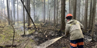 В Орехово-Зуевском ликвидировали один лесной пожар - MosRegToday.Ru