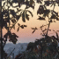 Фото: МАКС-канал администрации Крымского района - НИА-Кубань