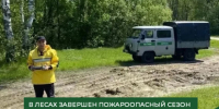 лес - Газета Сурские просторы