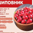 Чем полезны для организма плоды шиповника? - Роспотребнадзор