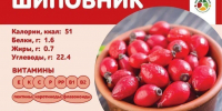 Чем полезны для организма плоды шиповника? - Роспотребнадзор