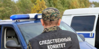 Поезд насмерть сбил мужчину у станции Высоково в Нижегородской области - НИА Нижний Новгород