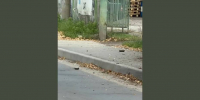 Воронежцам рассказали подробности атаки БПЛА в ночь на 30 октября: враг сбросил взрывчатку на школы и детсады - РИА Воронеж
