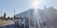В Волгограде водитель автобуса сбил женщину на пешеходном переходе - Комсомольская правда