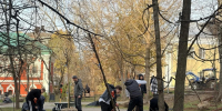 В Калуге на улице Плеханова высаживают липы - Комсомольская Правда