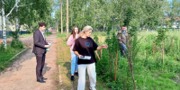 Приживаемость каждого саженца на контроле - Администрация г. Братск