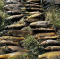 Ночная вылазка за сазаном обернулась для рыбака повесткой в суд - ИА Хакасия