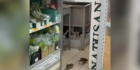 Видео с крысами в красноярском магазине заинтересовало Роспотребнадзор: ведомство просит адрес торговой точки - ИА Запад24