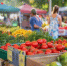 Где в Обнинске закупиться фермерскими продуктами в субботу - NgRegion.Ru