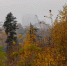 Картинка - Regions.Ru