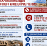 медведи в нашем округе. - Каратузский район