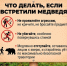 Безопасность в городе и поселках. - Город Дивногорск