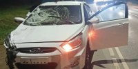 В Слободском районе насмерть сбили женщину - Сетевое издание Вятка Областная