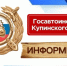 Профилактическое мероприятие «Нетрезвый водитель» проводят сотрудники Госавтоинспекции Купинского района - Купинский район