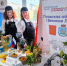 Команда великолукской гимназии представляет регион на конкурсе «Лучшая школьная столовая» - Pln-Pskov.Ru