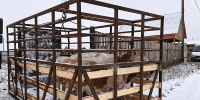 В пригороде Улан-Удэ поймали трёх безнадзорных коров - ИА Байкал-Daily