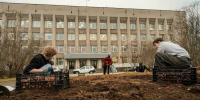 Более 14 тысяч тюльпанов распустятся в Мурманске - Мурманский вестник