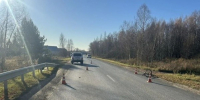В Волжском округе Марий Эл водитель «Нивы» наехал на велосипедиста - Марийская правда