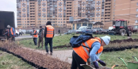 На ул. Шоссе в Лаврики началось благоустройство - Муринское городское поселение
