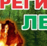Экстренное предупреждение на 31.10.2026 г. (высокая пожарная опасность) - Рыбно-Cлободский район