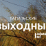 Тагильские выходные, топ-6: наличники, страшилки, психология, море и рок-н-ролл  - Между Строк