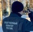 В Каратузском округе женщина подозревается в вовлечении сына в совершение опасных для его жизни действий - Следственный комитет