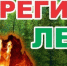 Экстренное предупреждение на 31.10.2026 г. (высокая пожарная опасность) - Верхнеуслонский район