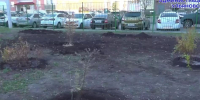 Ульяновскую «Династию» украсят 14 деревьев и 90 кустарников - Ulyanovsk.Express
