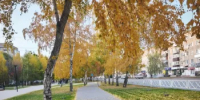 Прогноз погоды по Оренбургской области - Администрация города