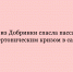 В полёте у пассажира случился гипертонический криз, однако благодаря врачу из Добринки всё обошлось — она оперативно оказала помощь - Народное слово