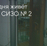 Поделитья во ВКонтакте - Братская Студия Телевидения