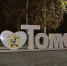 Турпоток в Томской области вырос почти на 50% - Комсомольская Правда
