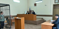 Туляк, убивший и расчленивший пенсионерку, оказался вменяем. Его отправят под суд - ИА Тульская пресса.Ru