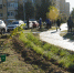 Ко Дню народного единства в Астрахани высадили 75 деревьев и кустарников - Администрация города
