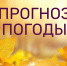 Прогноз погоды на 31 октября - Альметьевский район