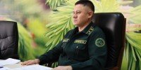 В Департаменте лесного хозяйства по ПФО обсудили вопросы проведения осенних лесокультурных работ - Министерство лесного хозяйства