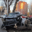 В Екатеринбурге Lexus снес дерево на Московскойвидео - КП Екатеринбург