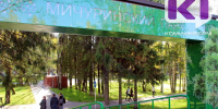 В Сыктывкаре в Мичуринском парке устраняют провал грунта - ИА Комиинформ