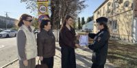 Автоинспекторы с общественниками напомнили о дорожной безопасности жителям Гулькевичи - Газета В 24 часа
