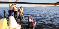 На Воронежском водохранилище с 30 октября приостановили судовой ход - РИА Воронеж