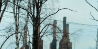 Фото Анатолия Лазарева. - Газета Важский край