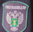 В Подмосковье уничтожили партию кенийских роз из-за цветочного трипса - Вести Подмосковья